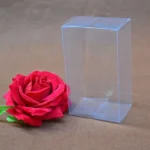 Custom Clear Tuck Boxes