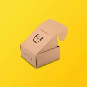 Kraft Mailer Boxes